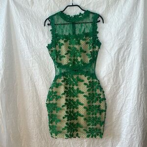 The Sang sheer, green over light beige dress. Sheer lace back.